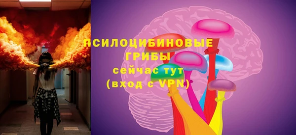 2c-b Богданович